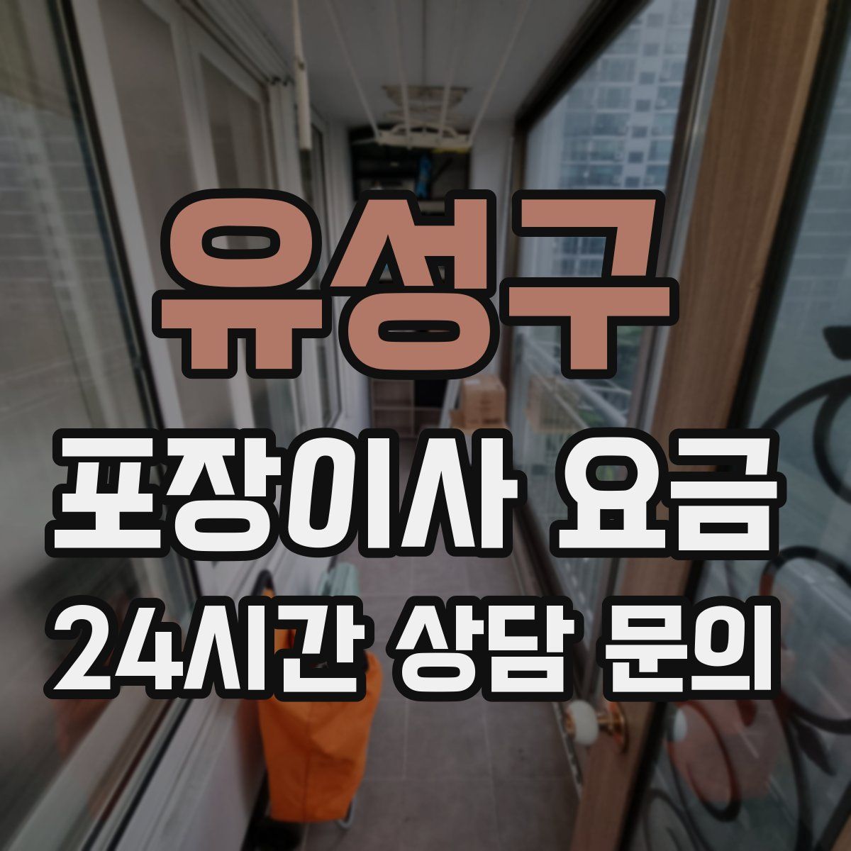 유성구 포장이사 요금