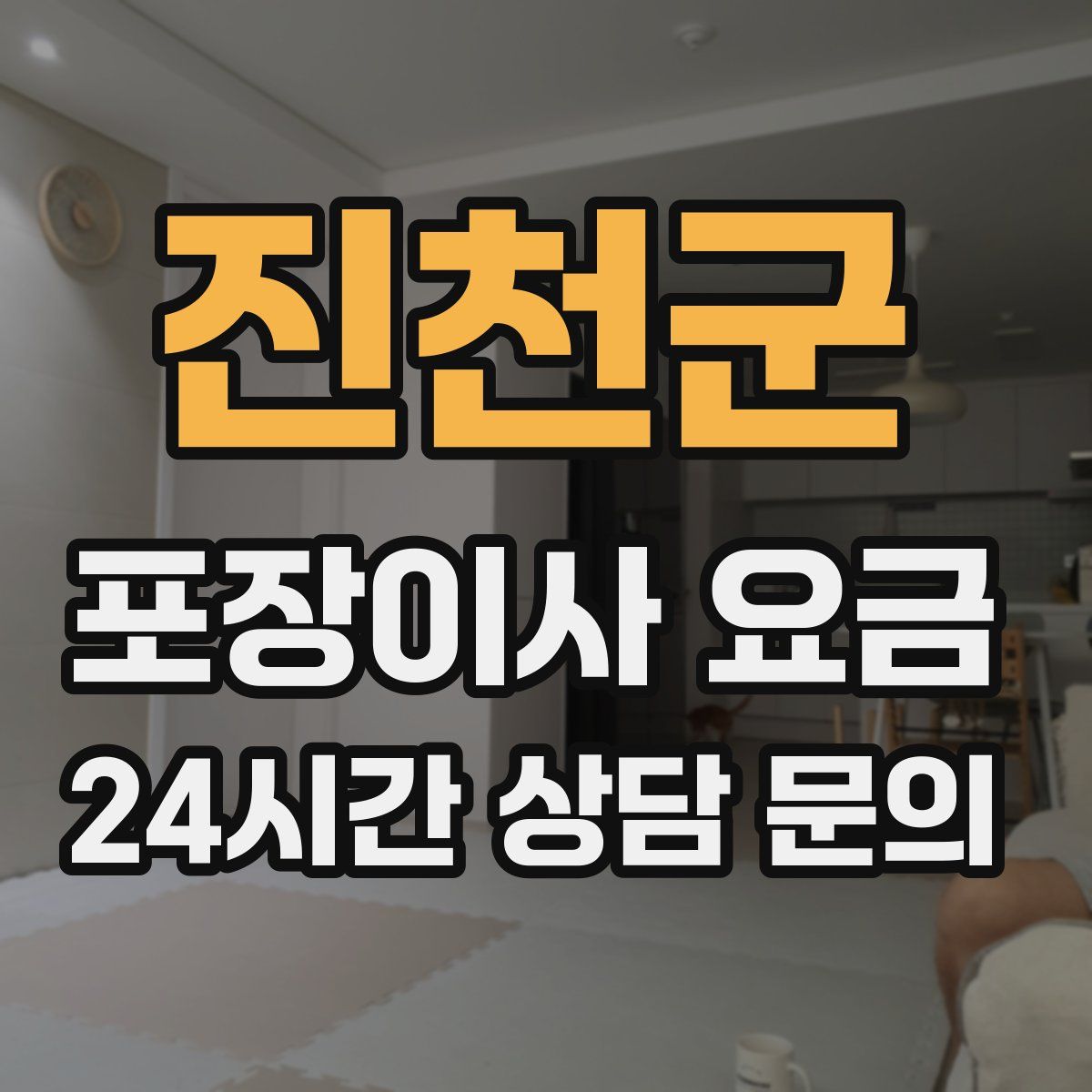 진천군 포장이사 요금