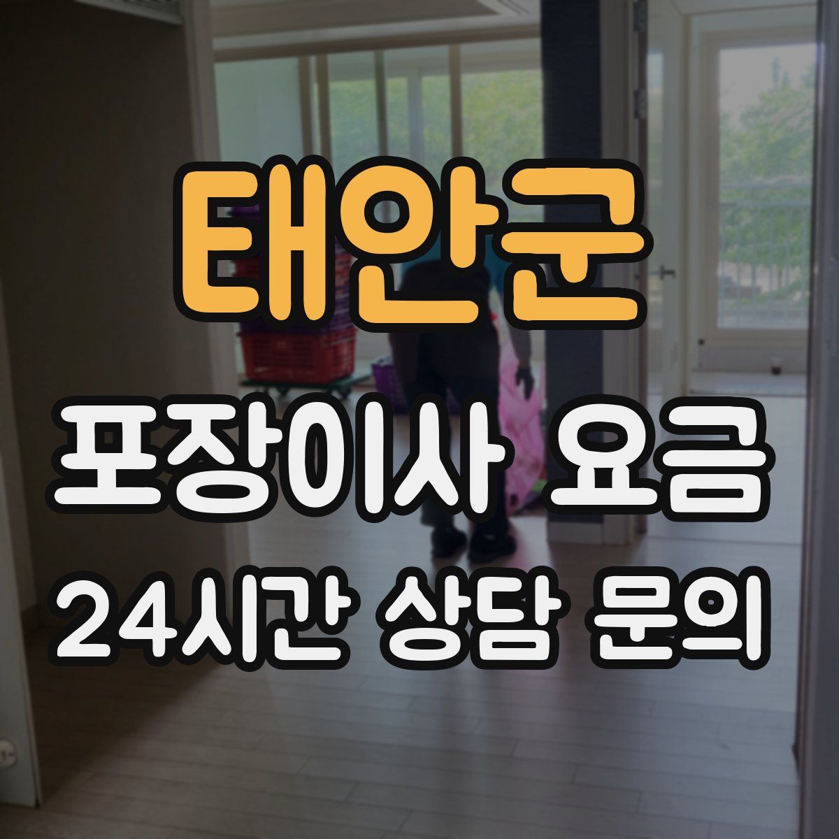 태안군 포장이사 요금