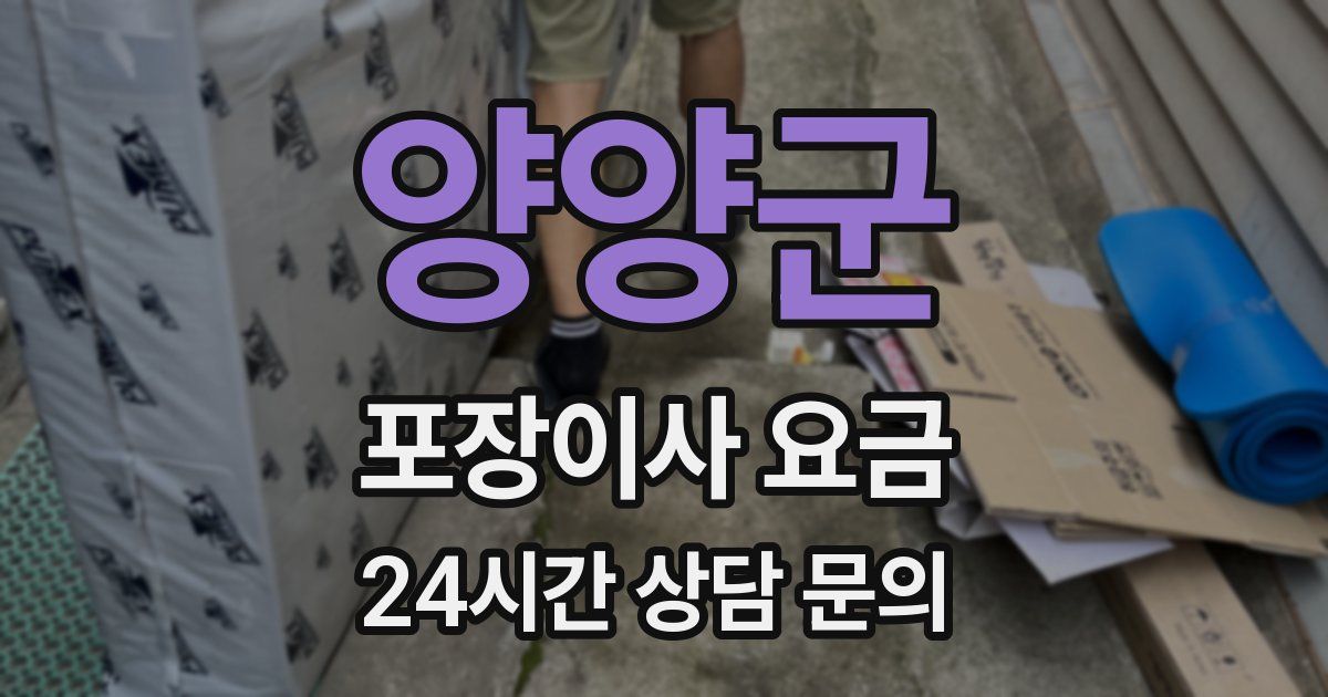 양양군 포장이사 요금