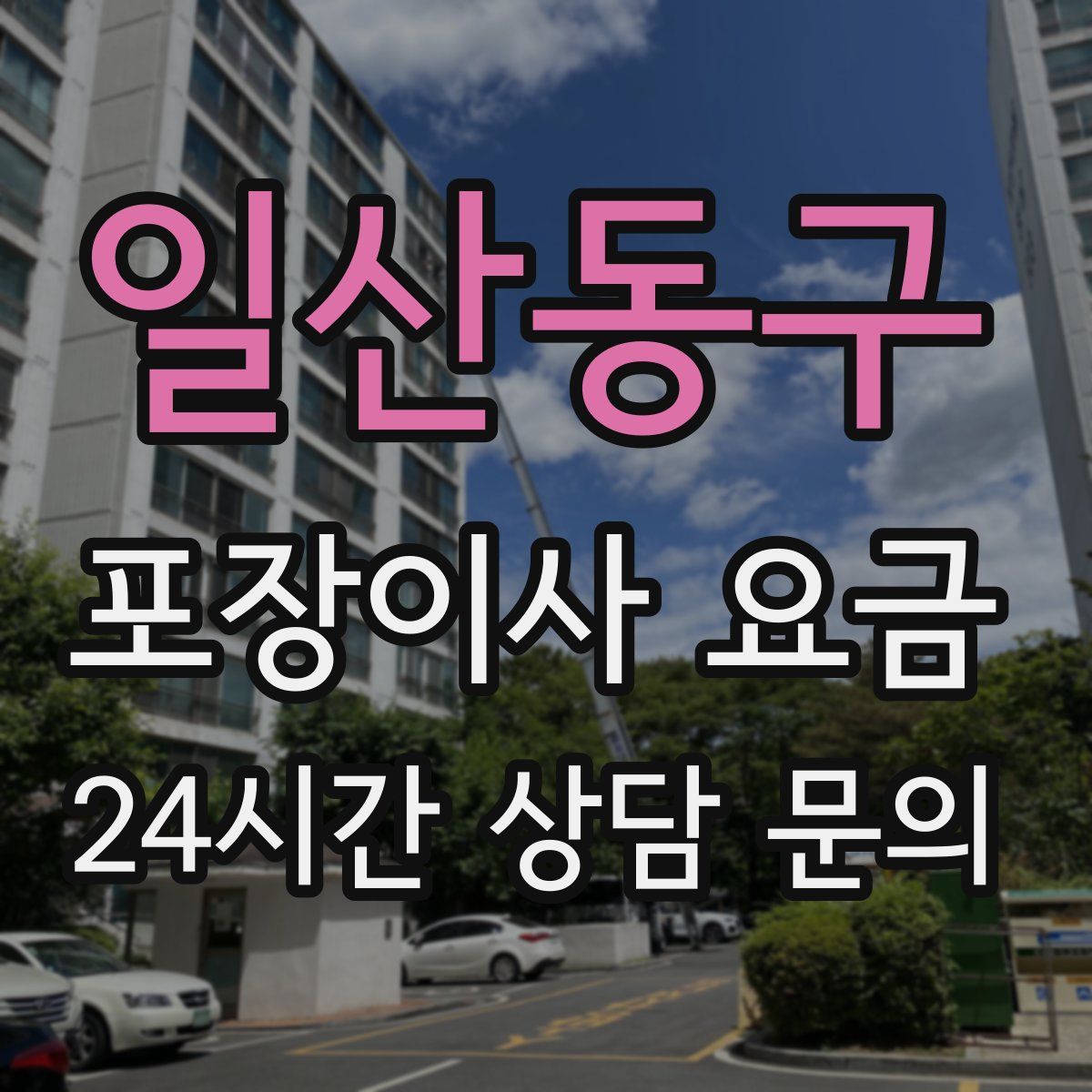 일산동구 포장이사 요금