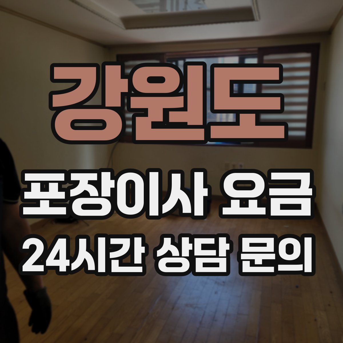 강원도 포장이사 요금