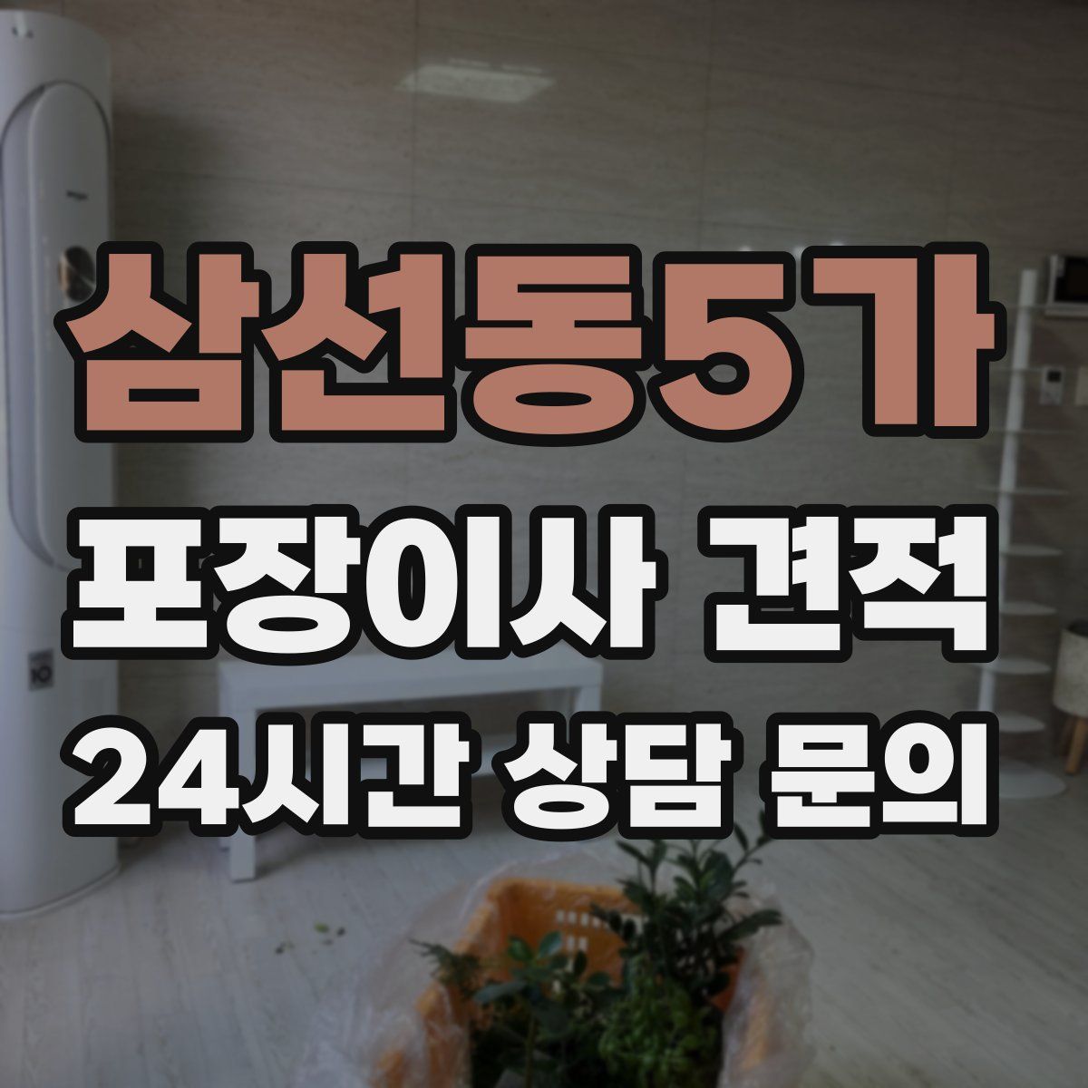 삼선동5가 포장이사 견적