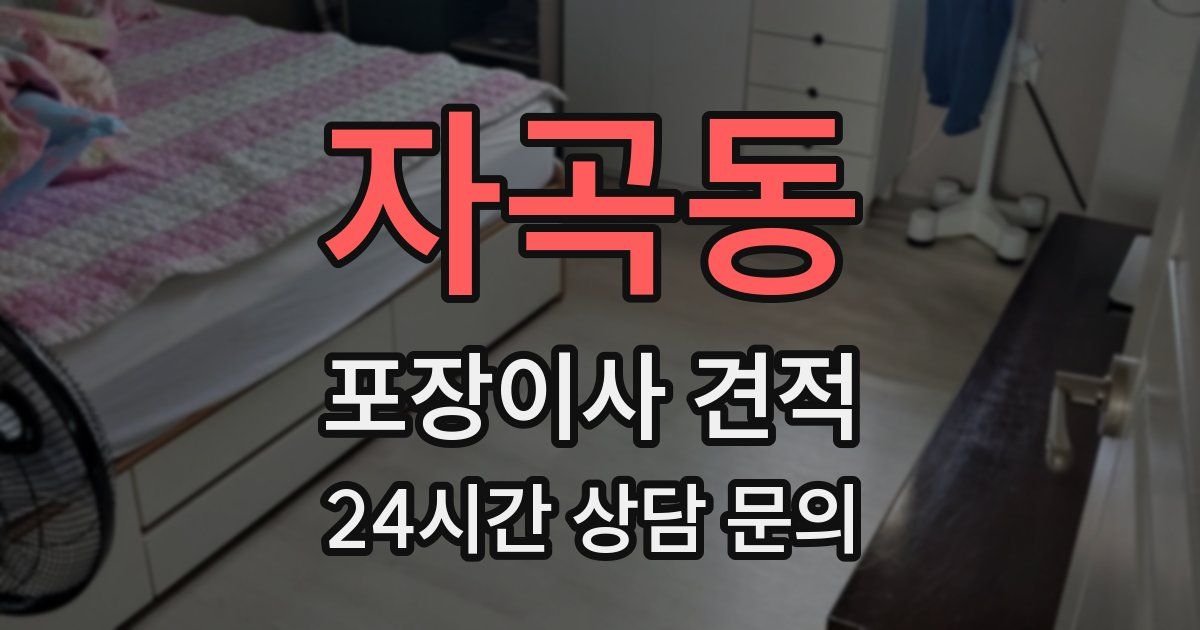 자곡동 포장이사 견적