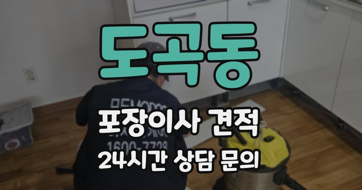 도곡동 포장이사 견적