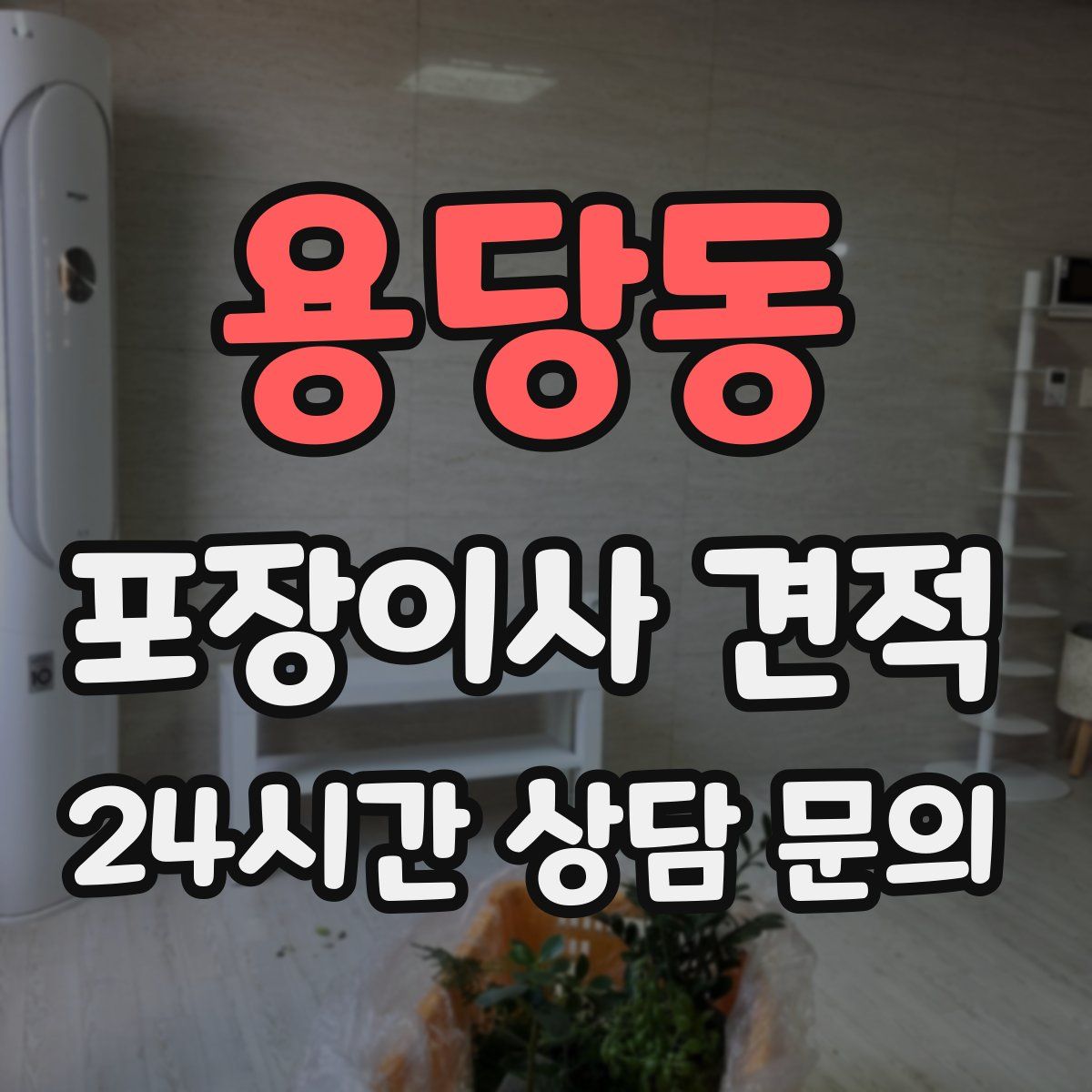 용당동 포장이사 견적