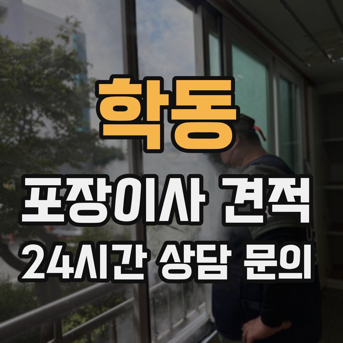 학동 포장이사 견적