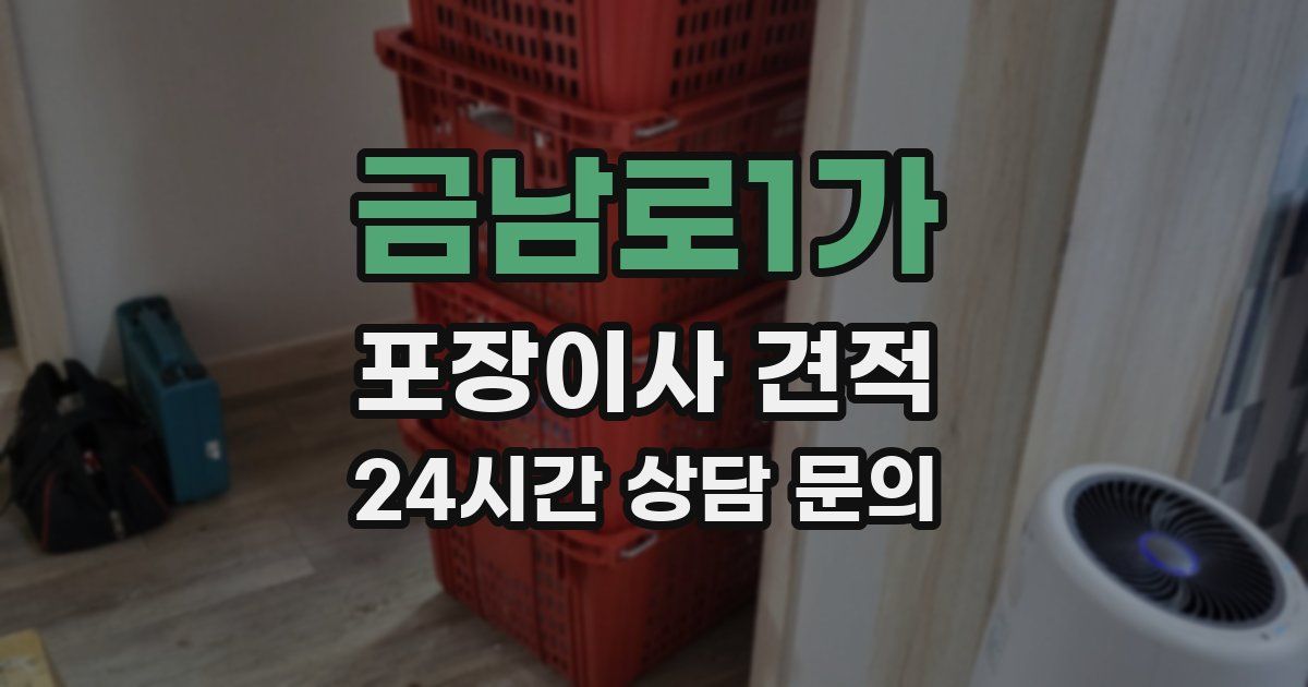금남로1가 포장이사 견적