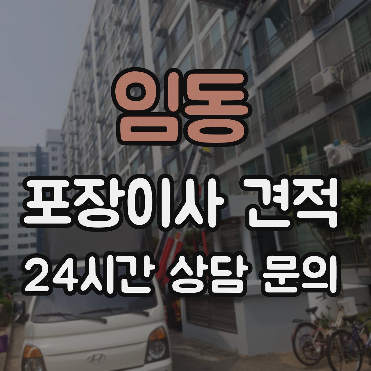 임동 포장이사 견적
