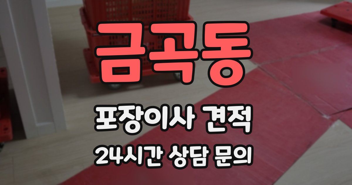 금곡동 포장이사 견적