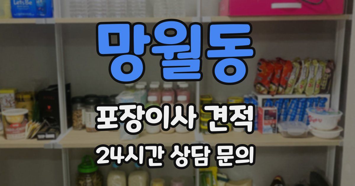 망월동 포장이사 견적