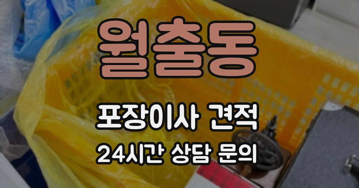 월출동 포장이사 견적