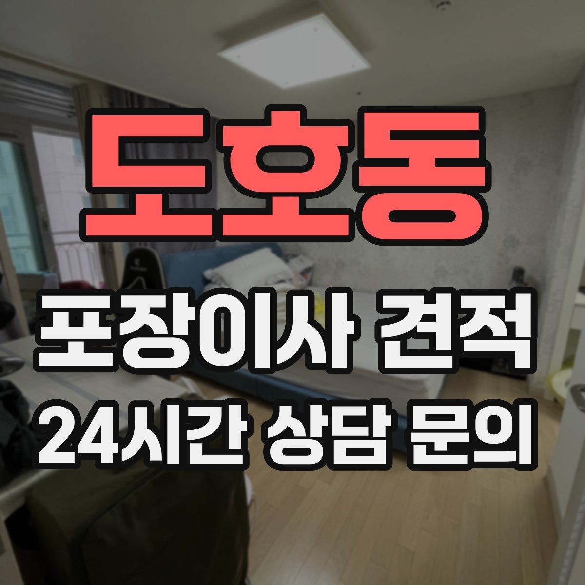 도호동 포장이사 견적 투룸·쓰리룸에서 견적 잡는 기준