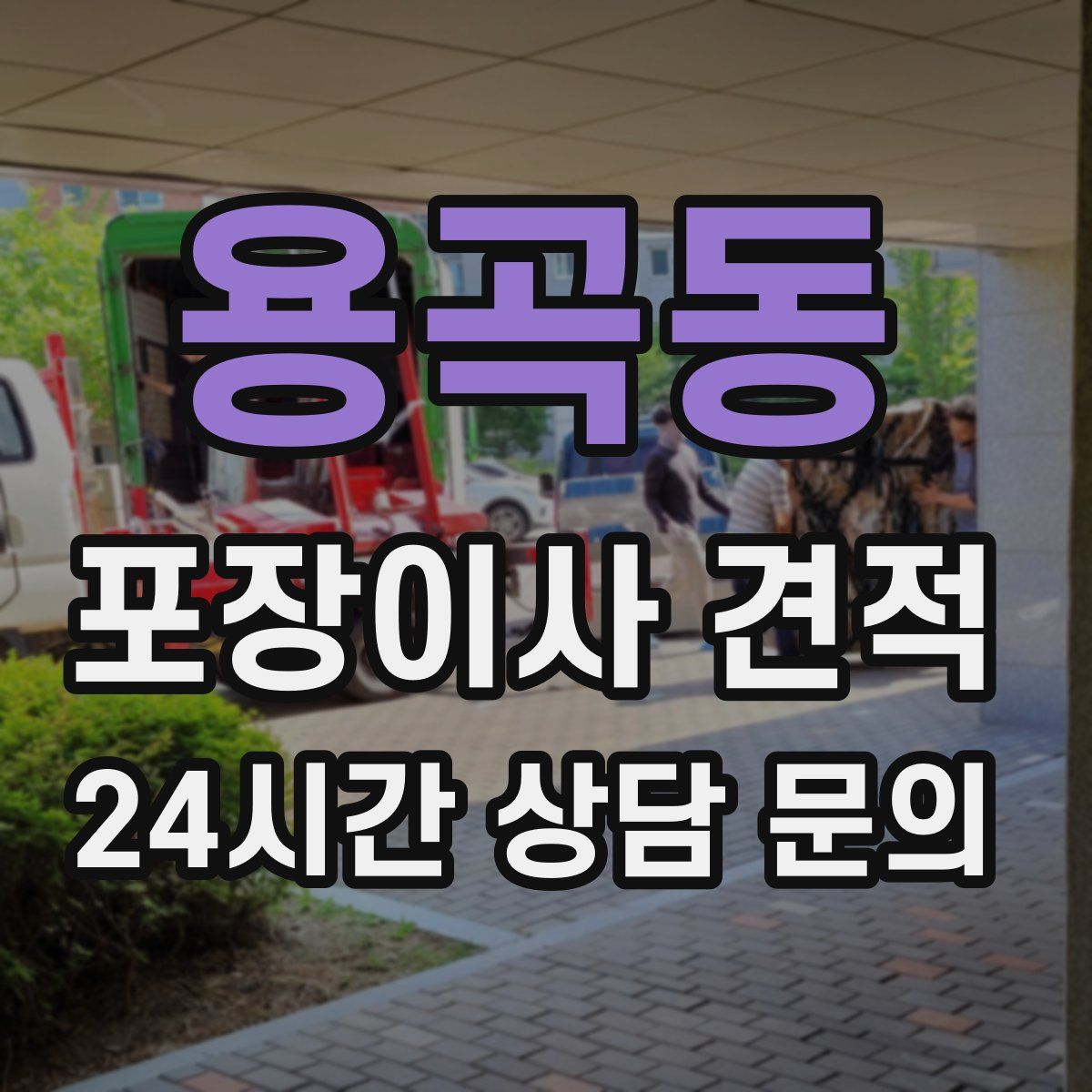 용곡동 포장이사 견적