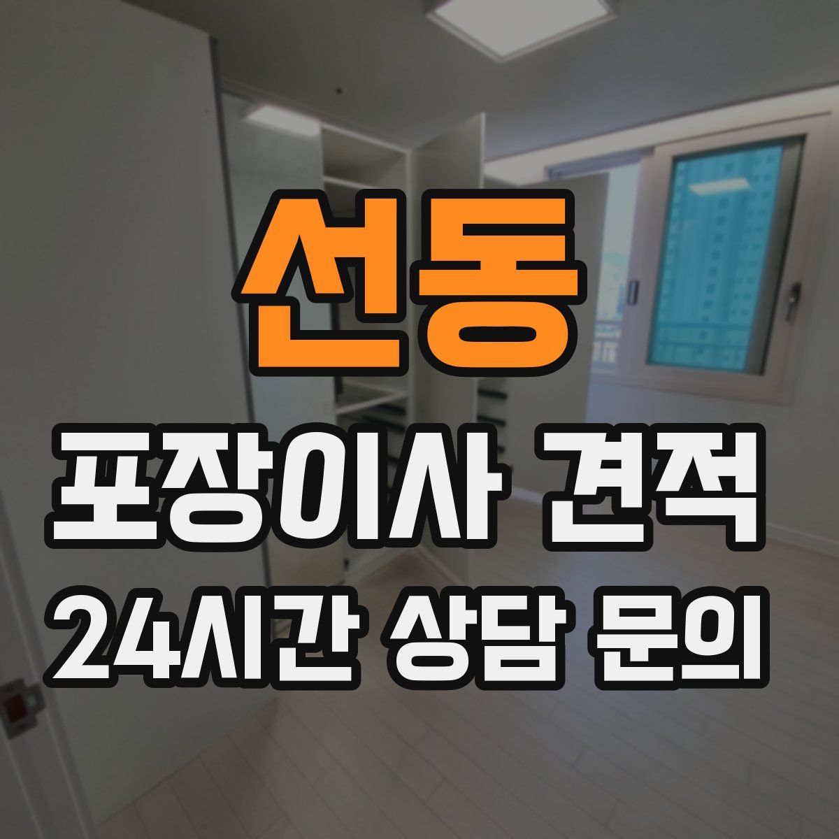 선동 포장이사 견적