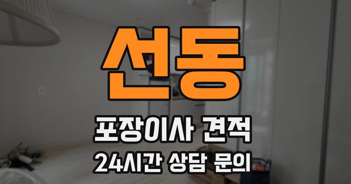 선동 포장이사 견적