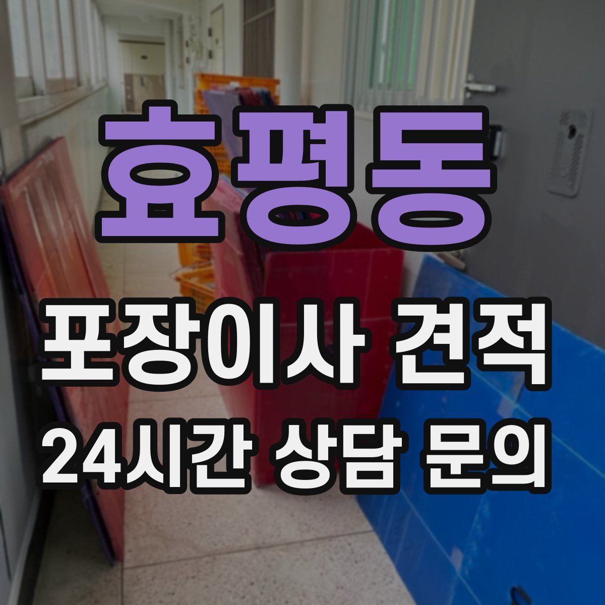 효평동 포장이사 견적