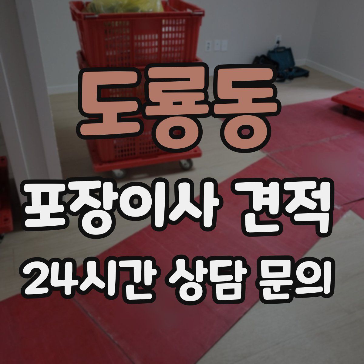 도룡동 포장이사 견적