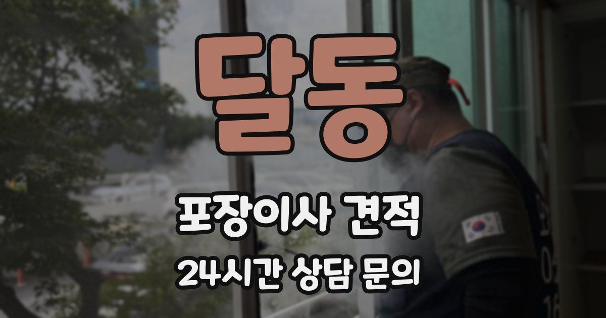 달동 포장이사 견적