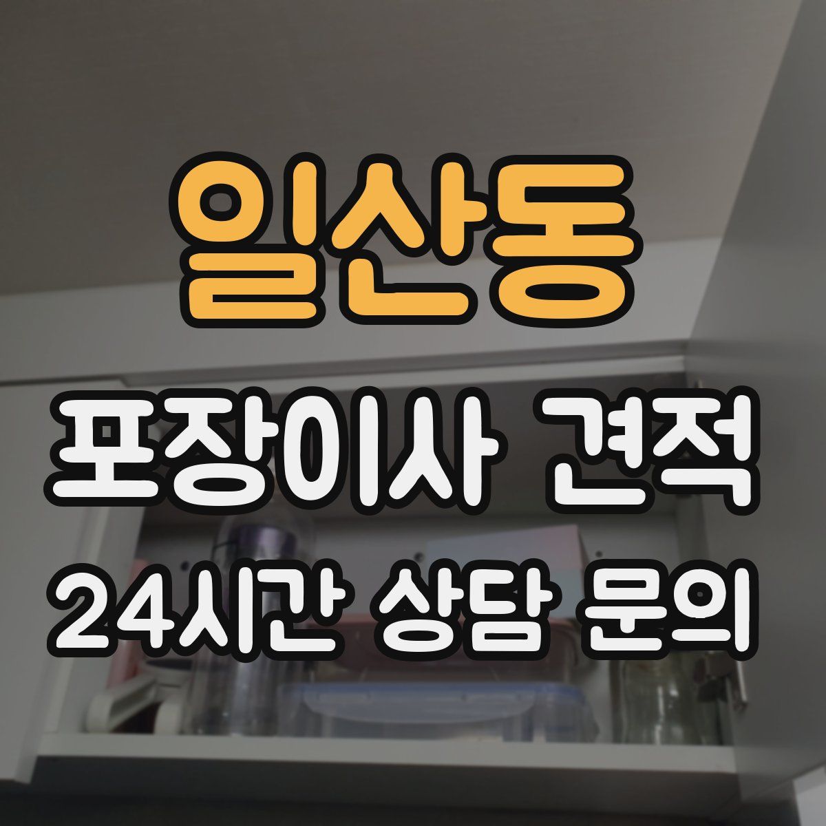 일산동 포장이사 견적