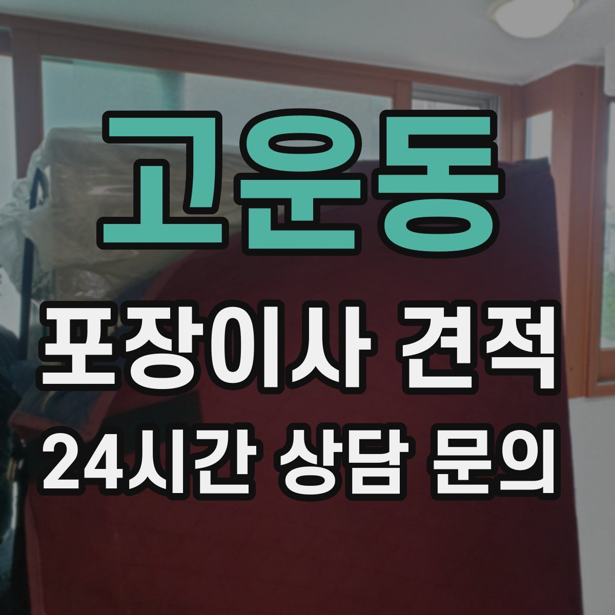 고운동 포장이사 견적