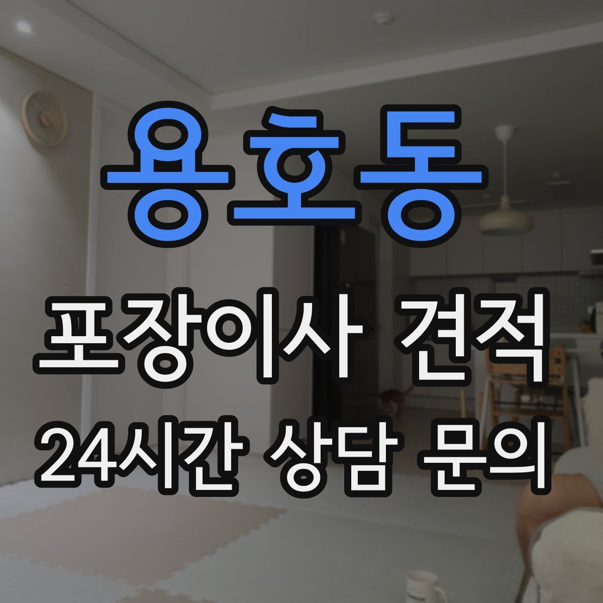 용호동 포장이사 견적