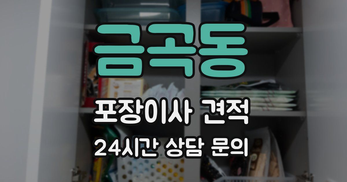 금곡동 포장이사 견적