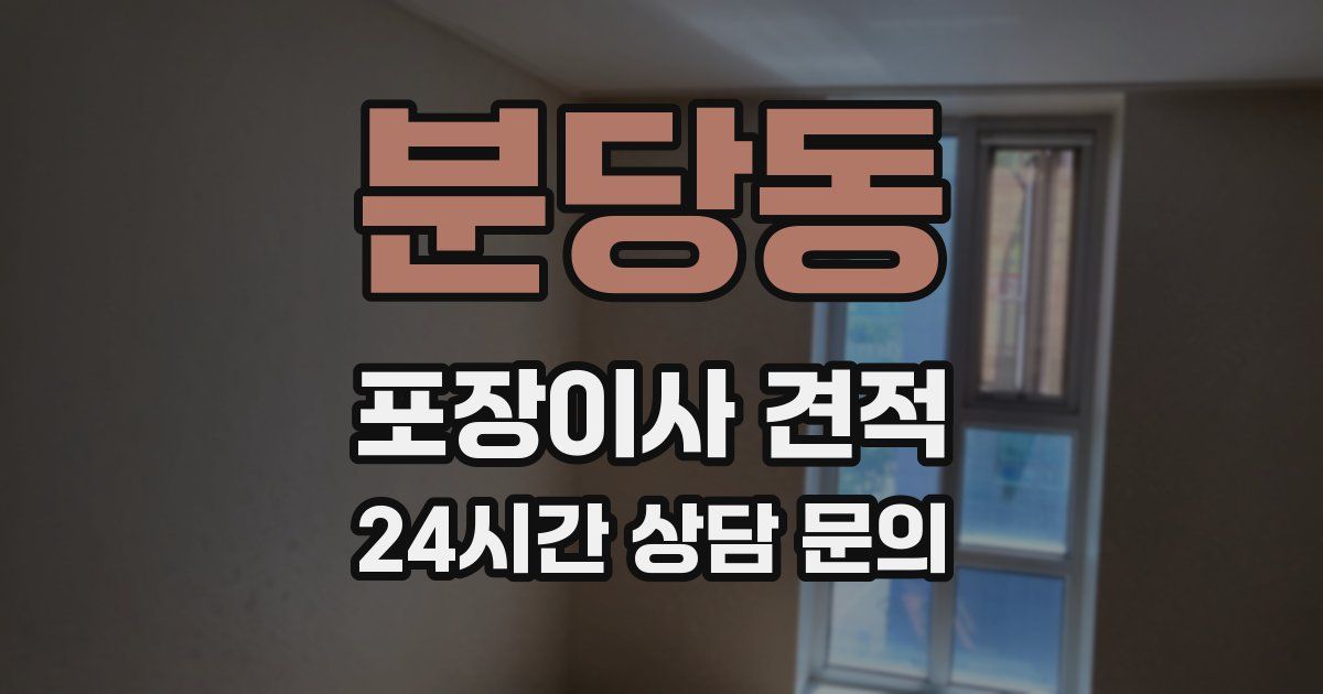 분당동 포장이사 견적