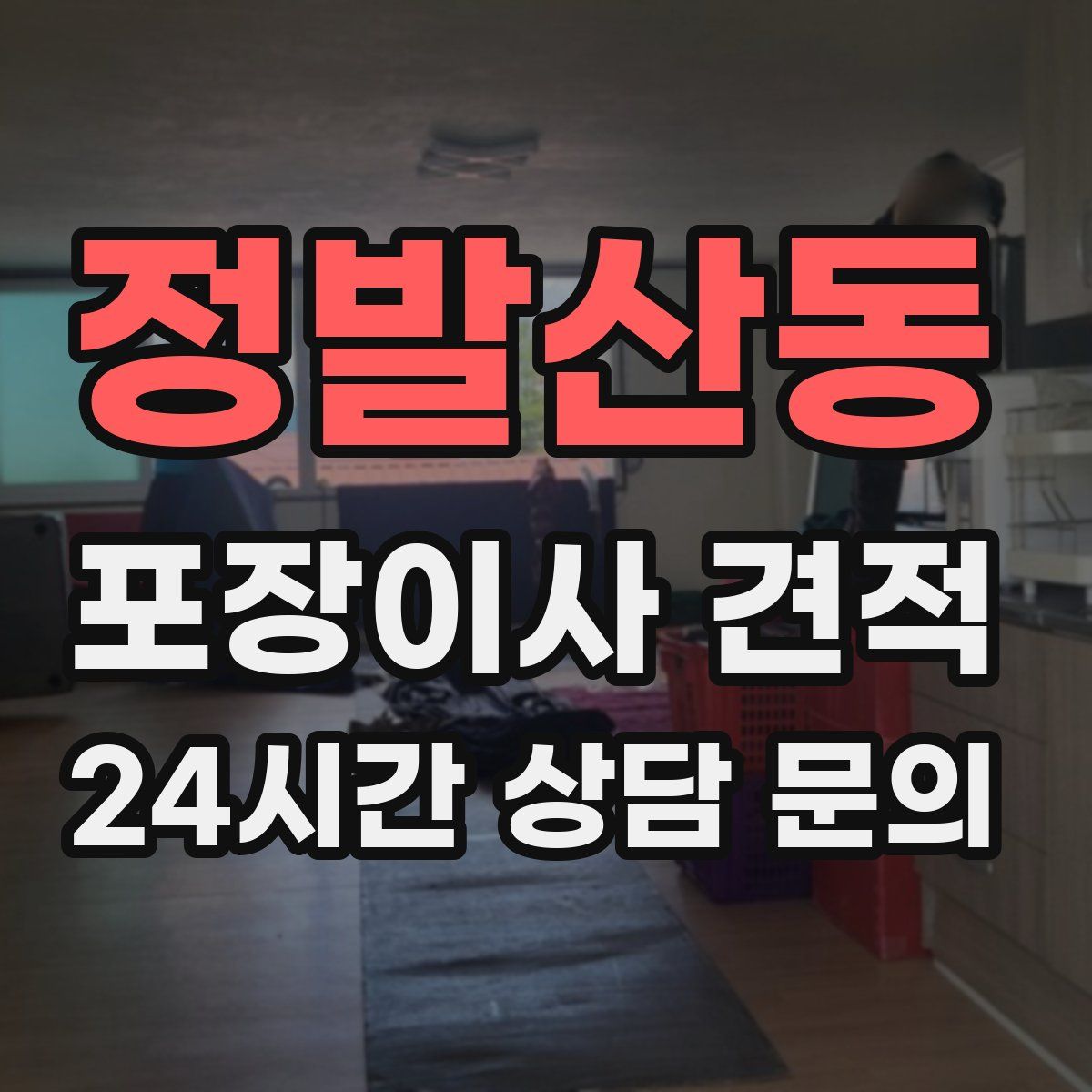 정발산동 포장이사 견적