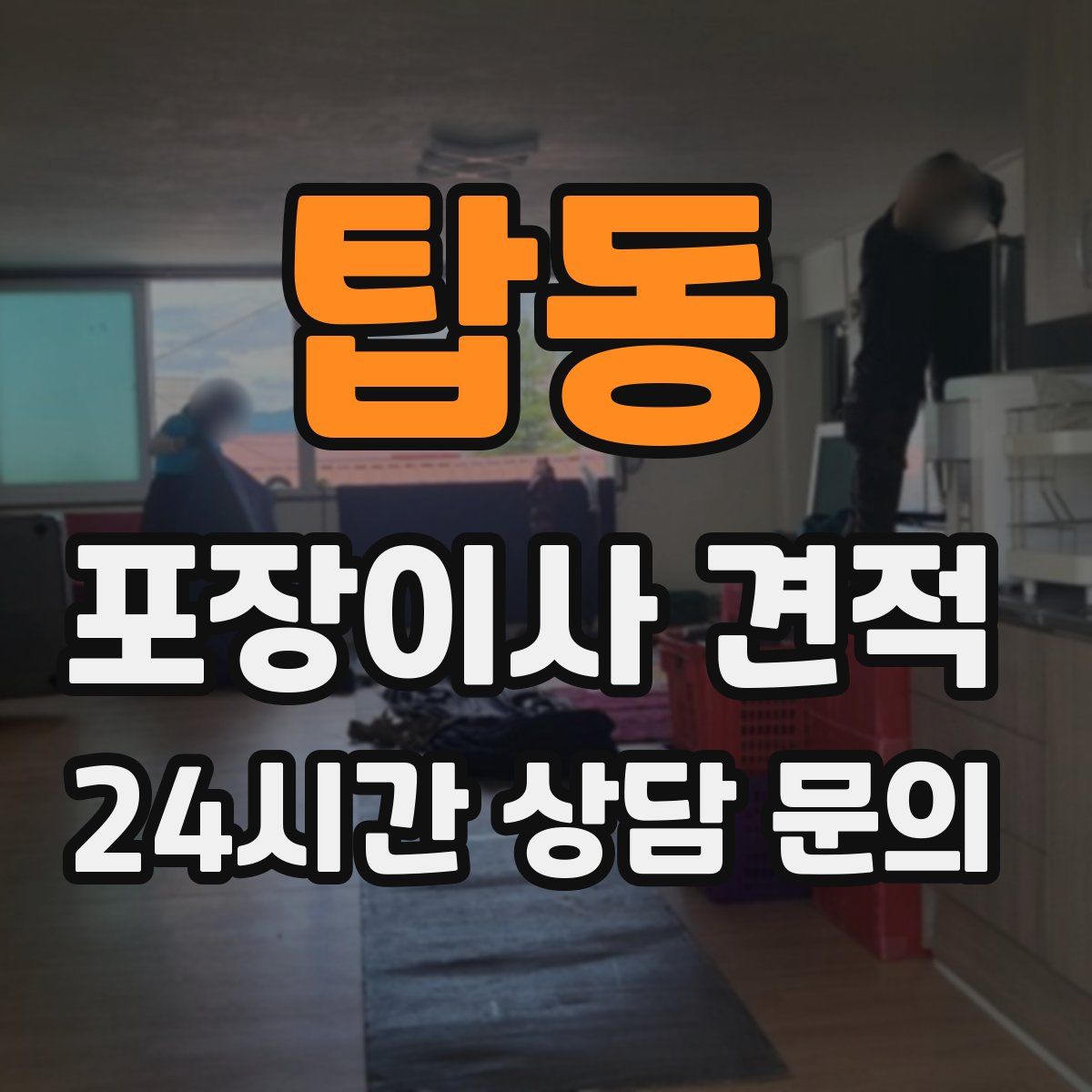 탑동 포장이사 견적
