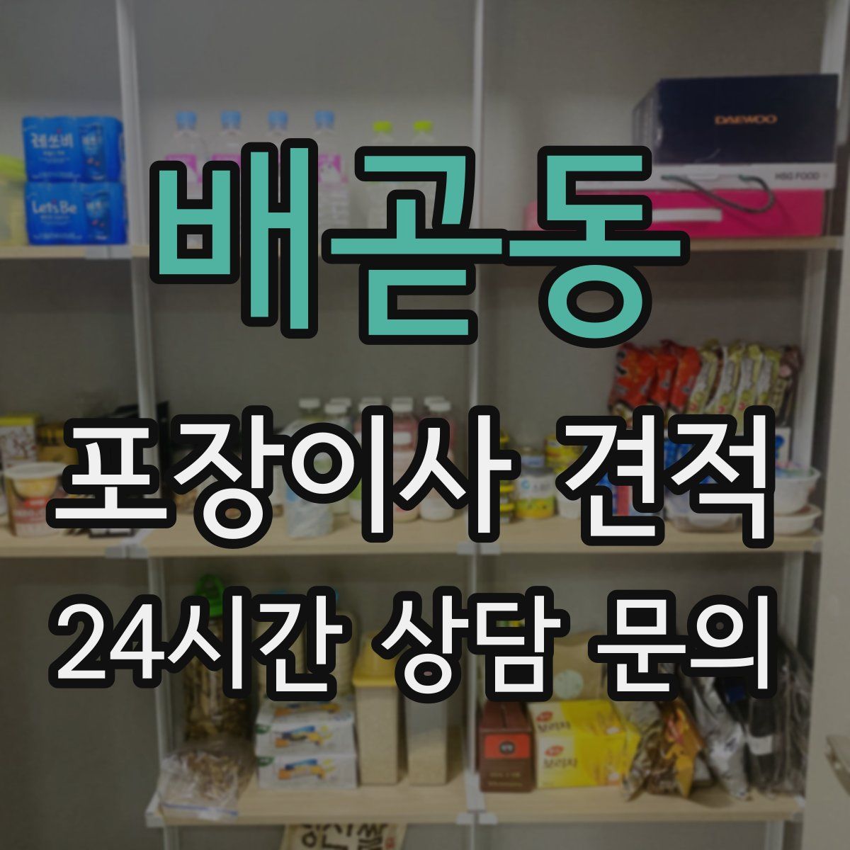 배곧동 포장이사 견적