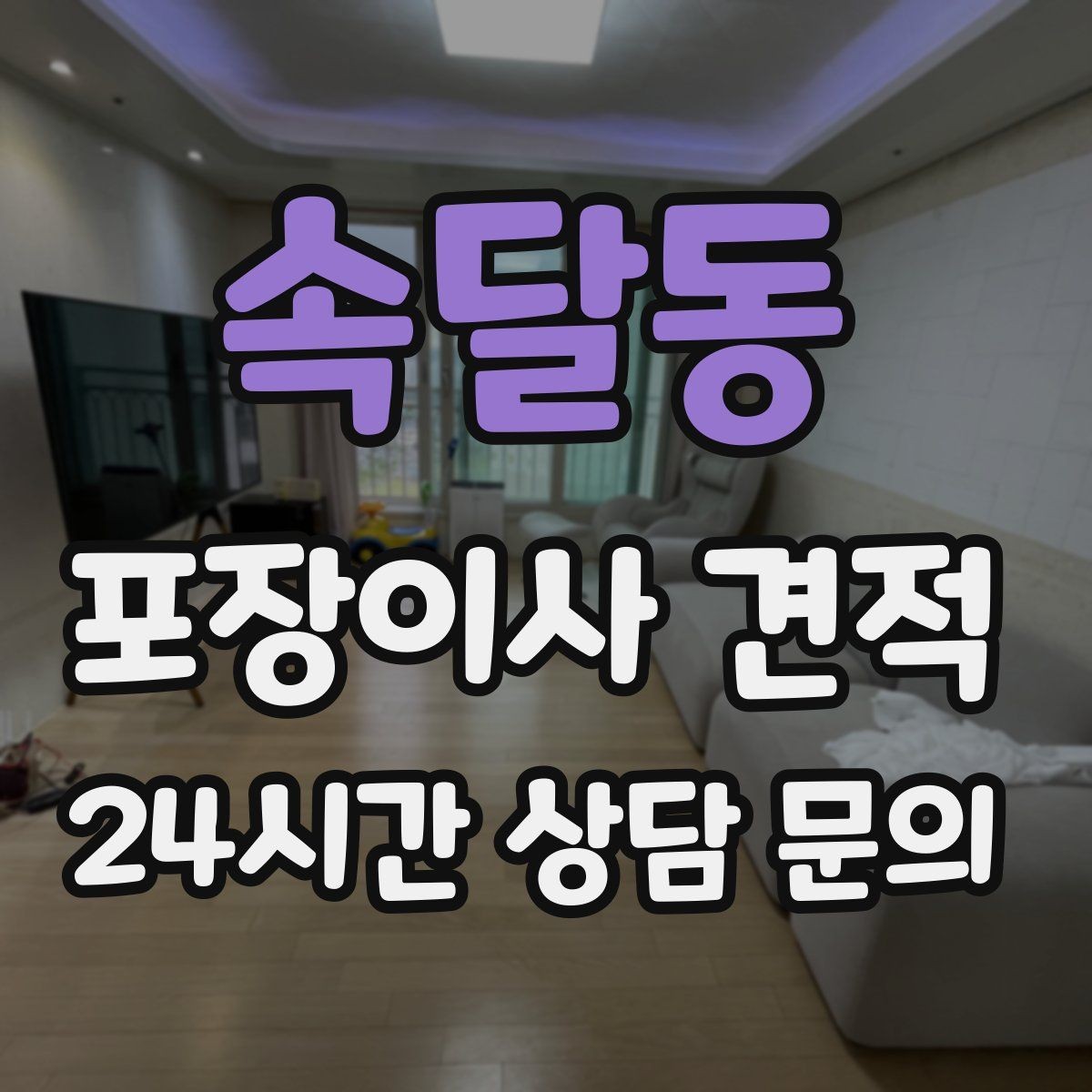 속달동 포장이사 견적 책이 많은 집은 왜 더 비싸질까