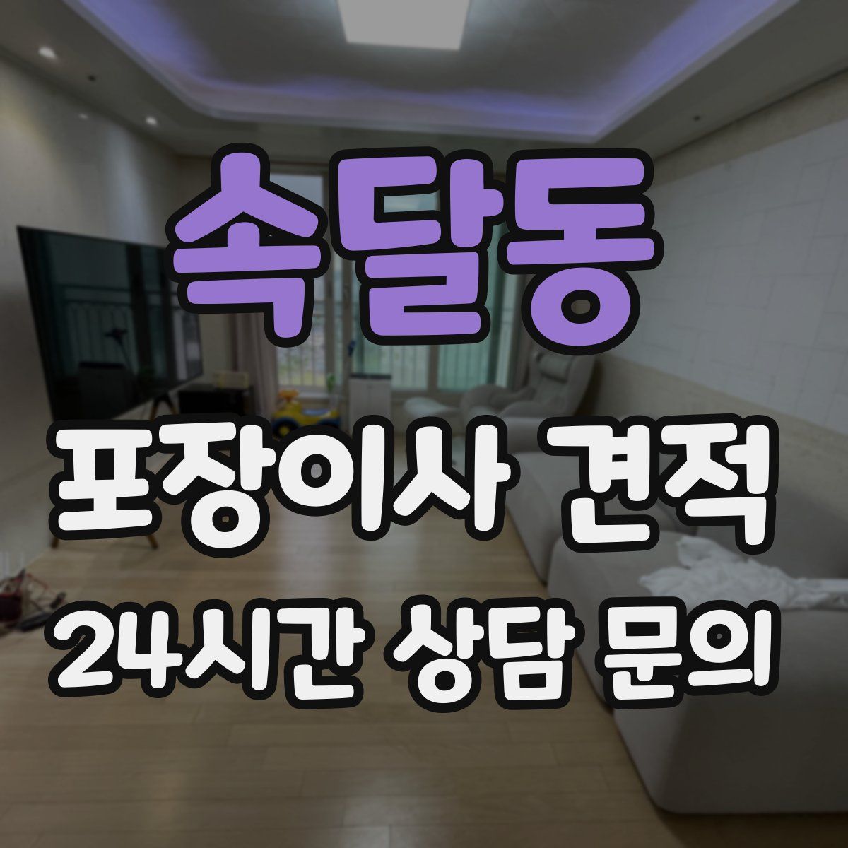 속달동 포장이사 견적