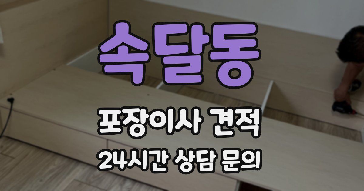 속달동 포장이사 견적