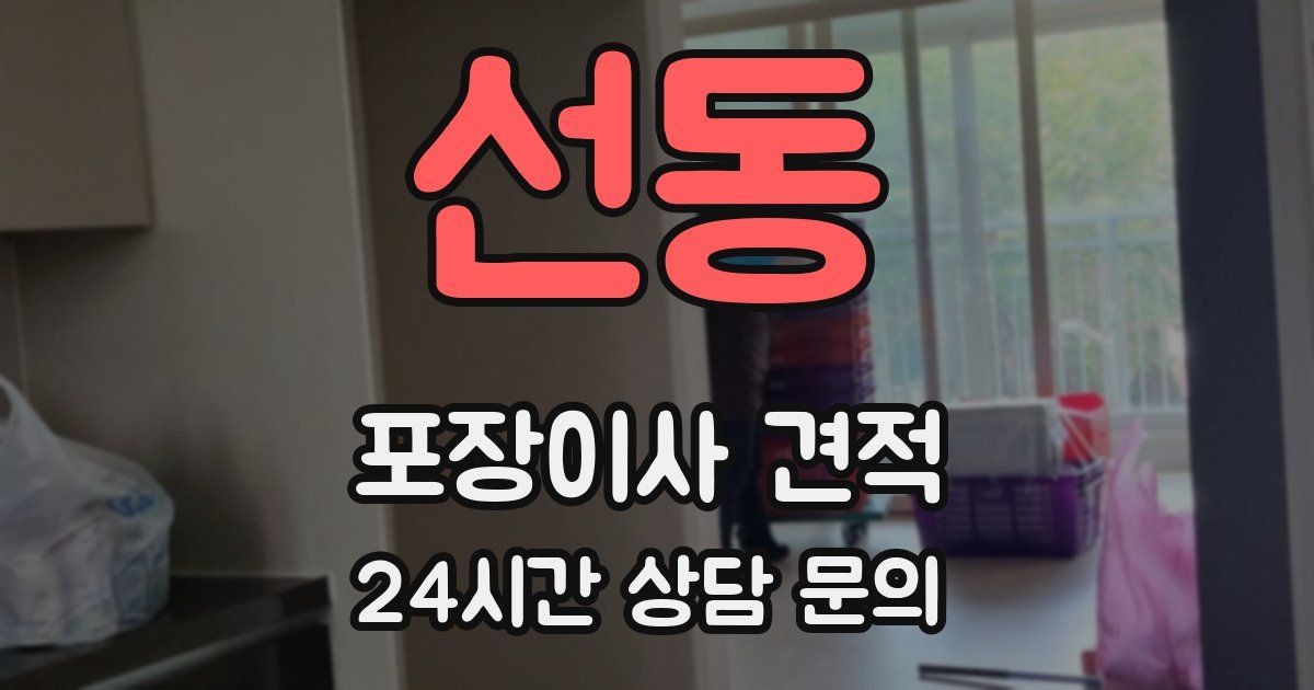 선동 포장이사 견적