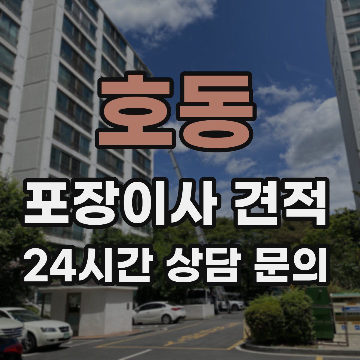 호동 포장이사 견적