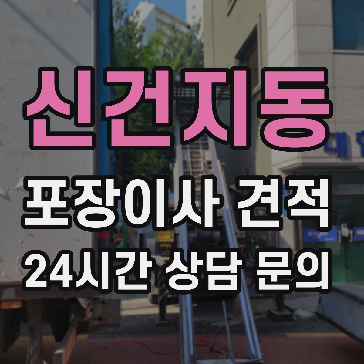 신건지동 포장이사 견적