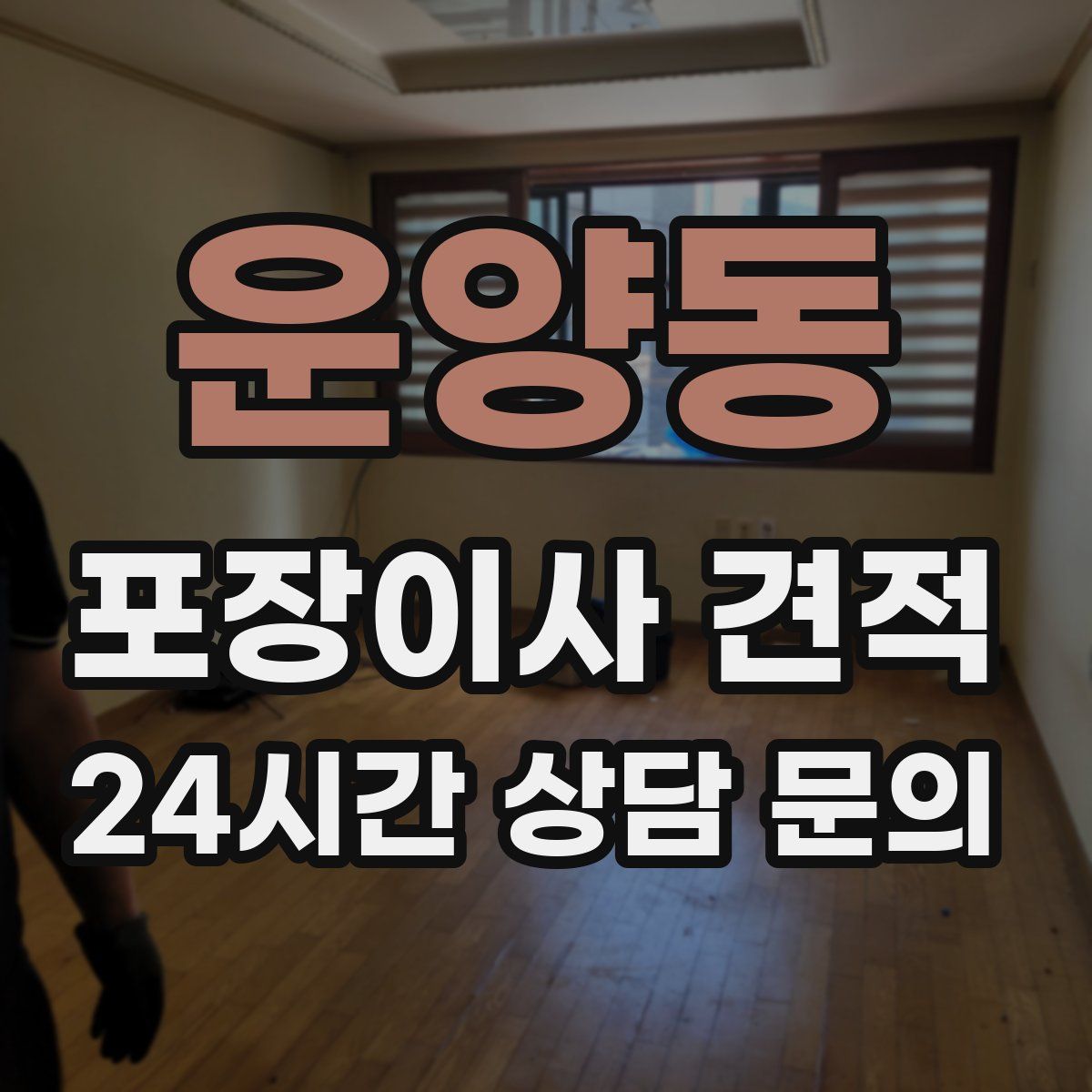 운양동 포장이사 견적