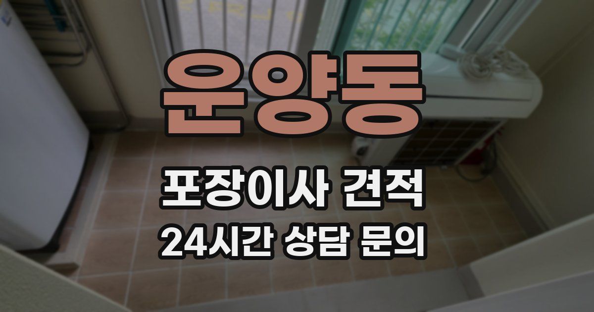 운양동 포장이사 견적