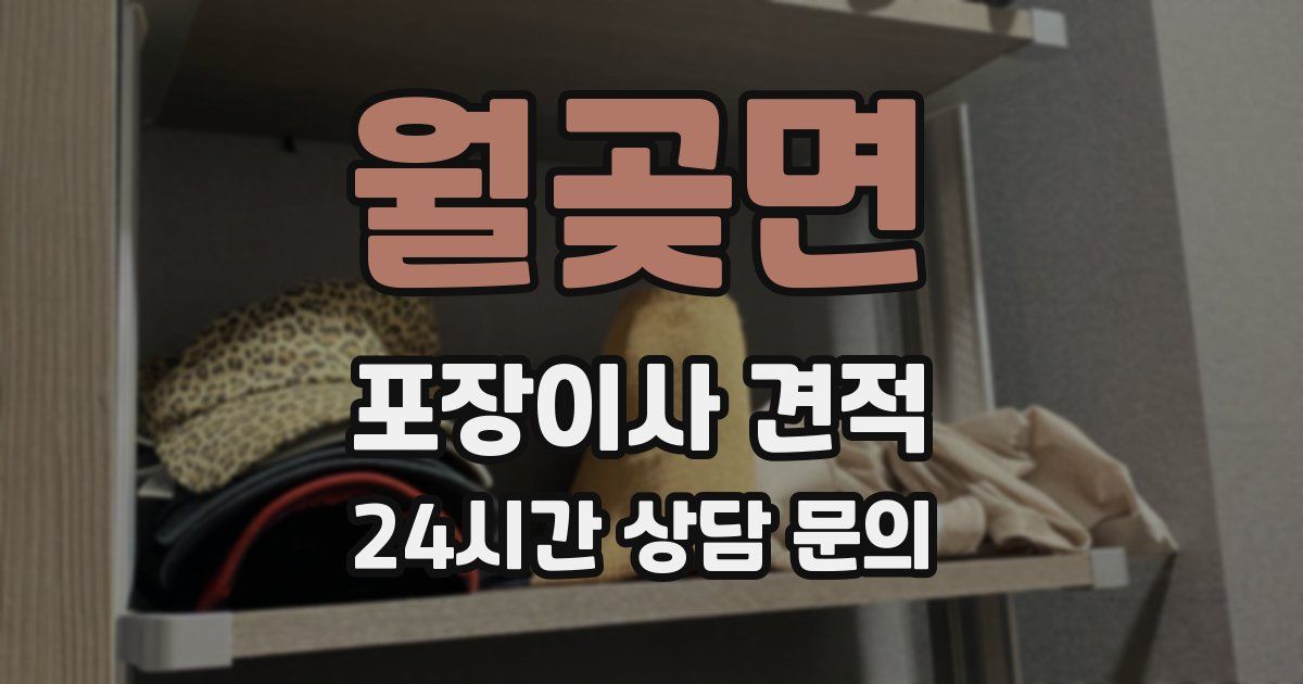 월곶면 포장이사 견적