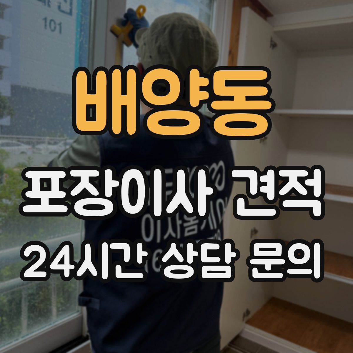 배양동 포장이사 견적