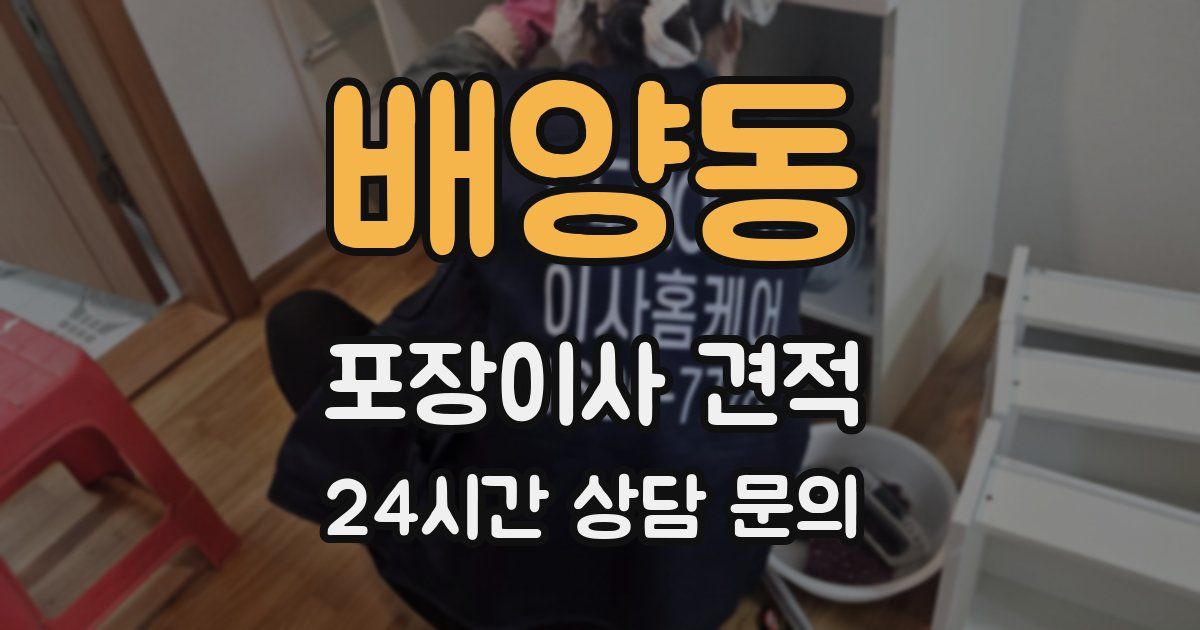 배양동 포장이사 견적