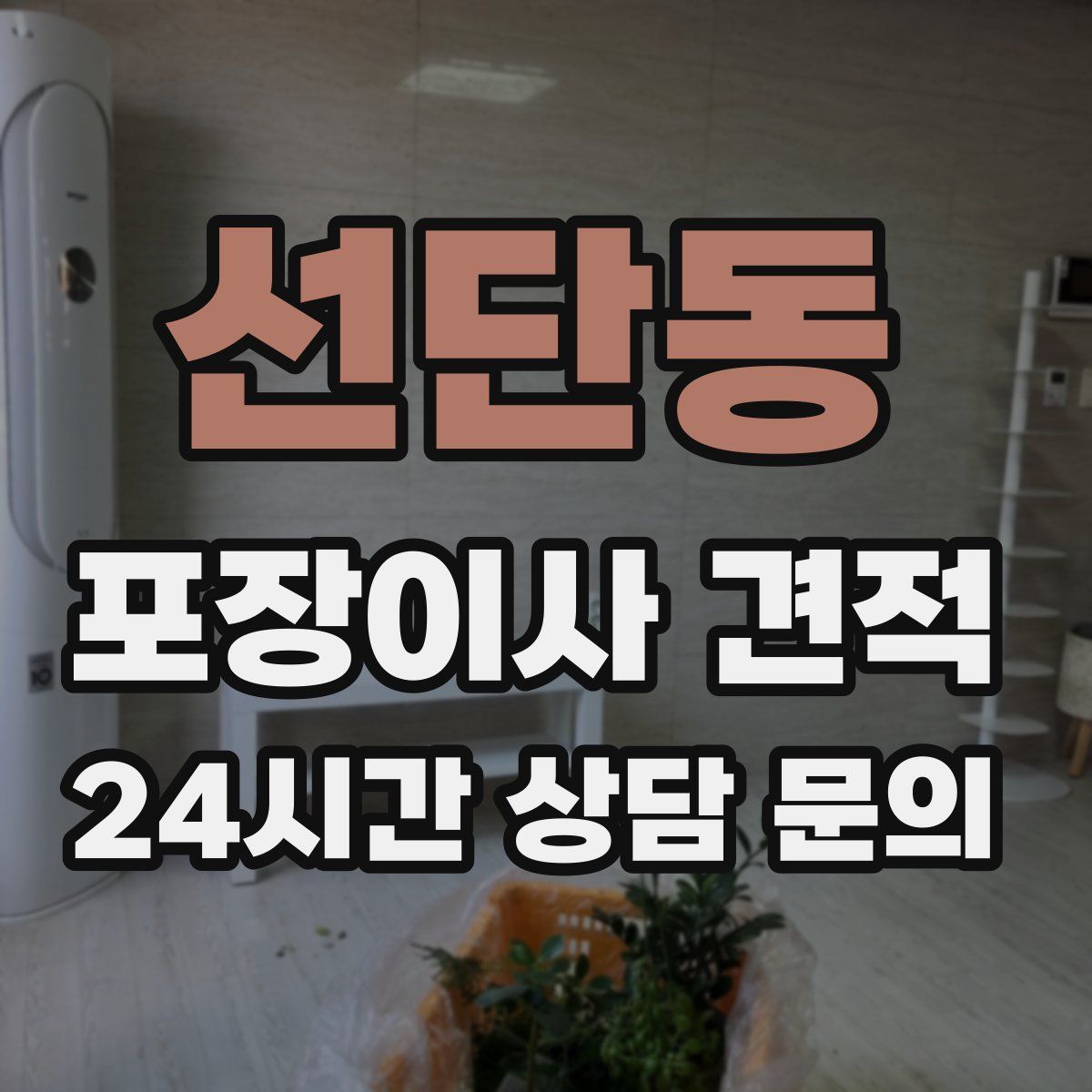 선단동 포장이사 견적