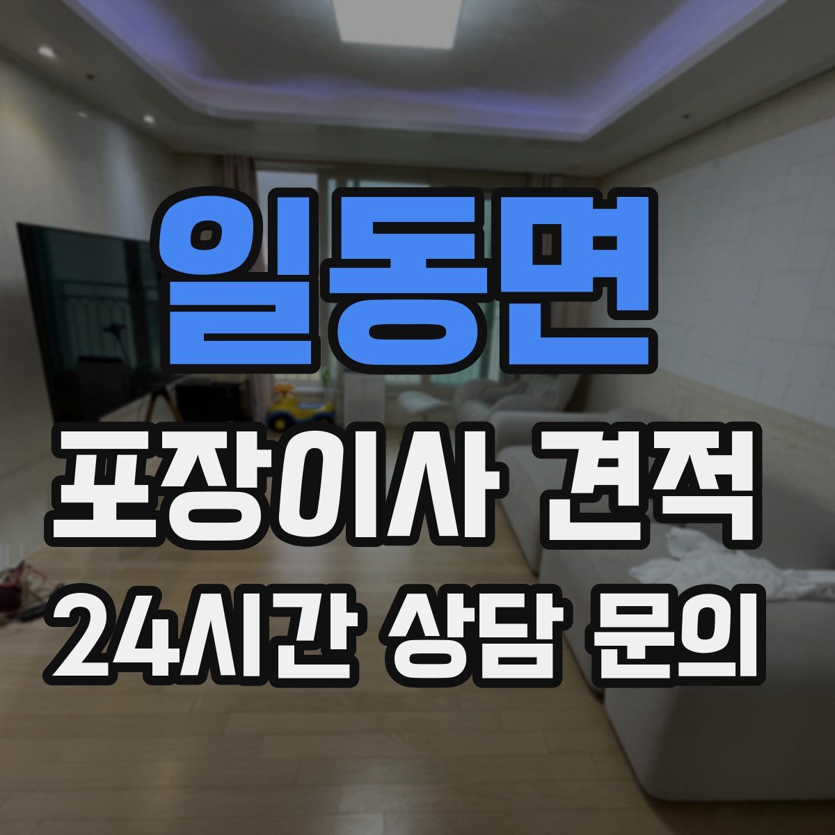 일동면 포장이사 견적