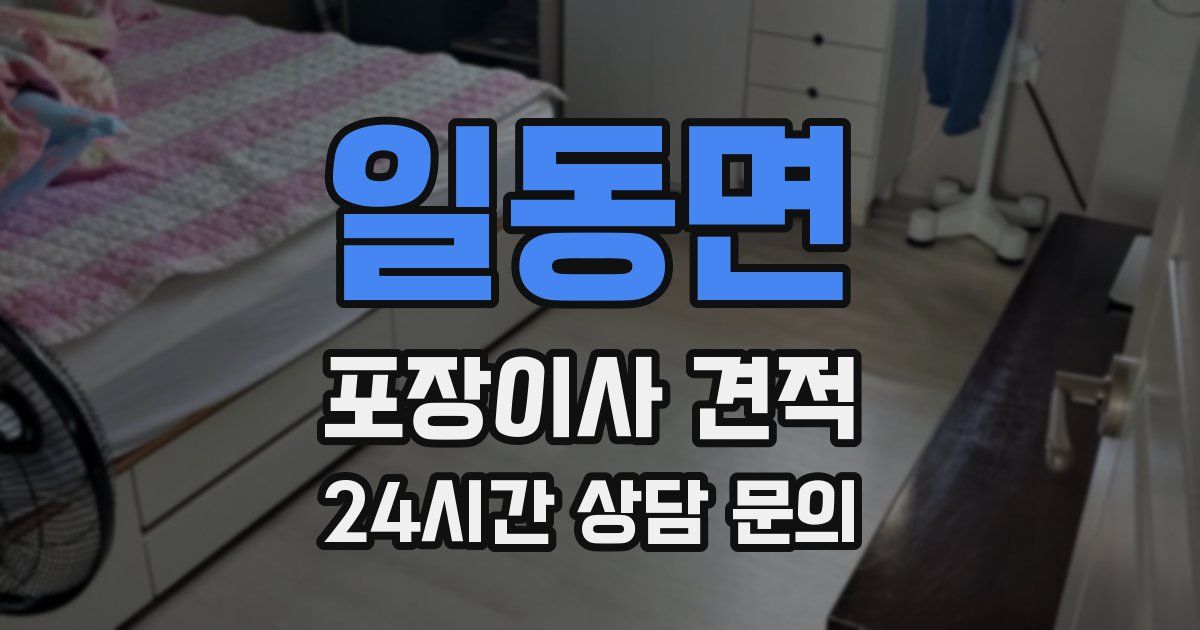 일동면 포장이사 견적