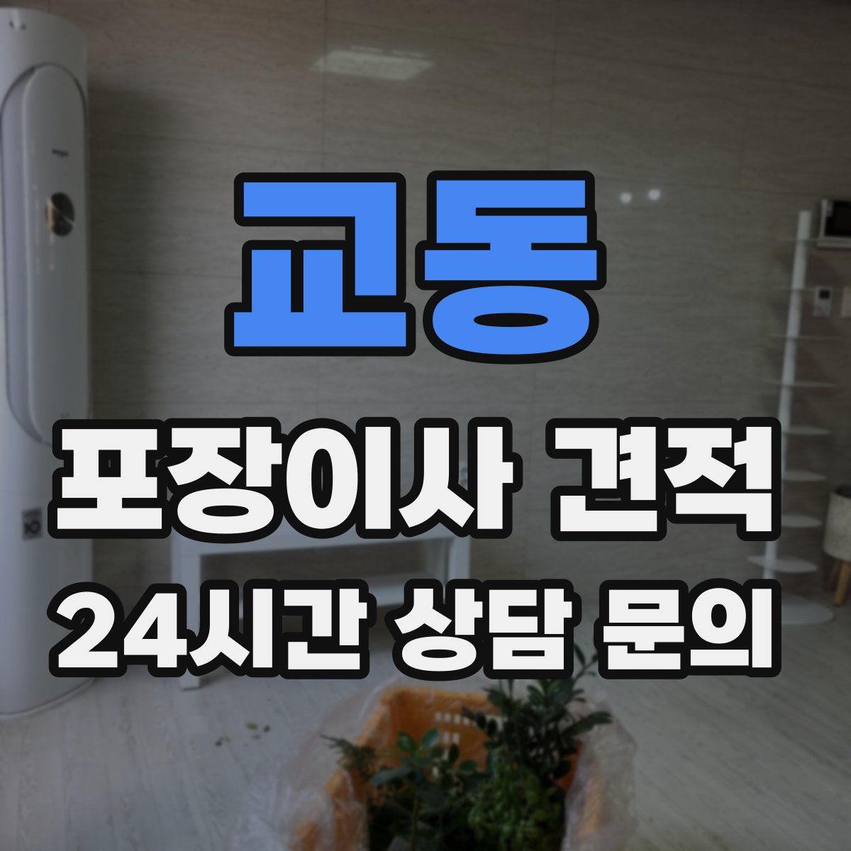 교동 포장이사 견적