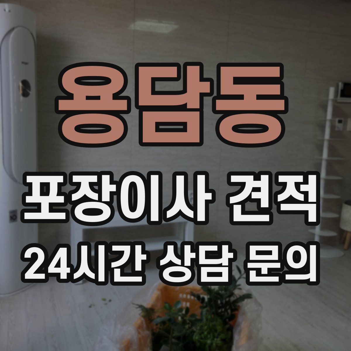 용담동 포장이사 견적 원룸 이사도 포장이사가 필요한 경우