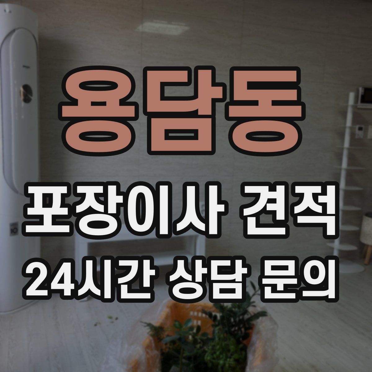 용담동 포장이사 견적