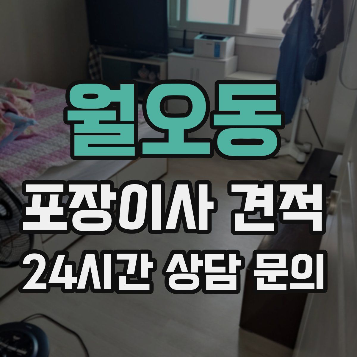 월오동 포장이사 견적