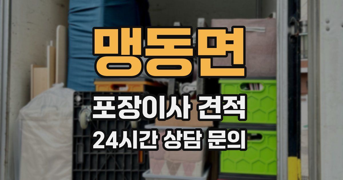 맹동면 포장이사 견적